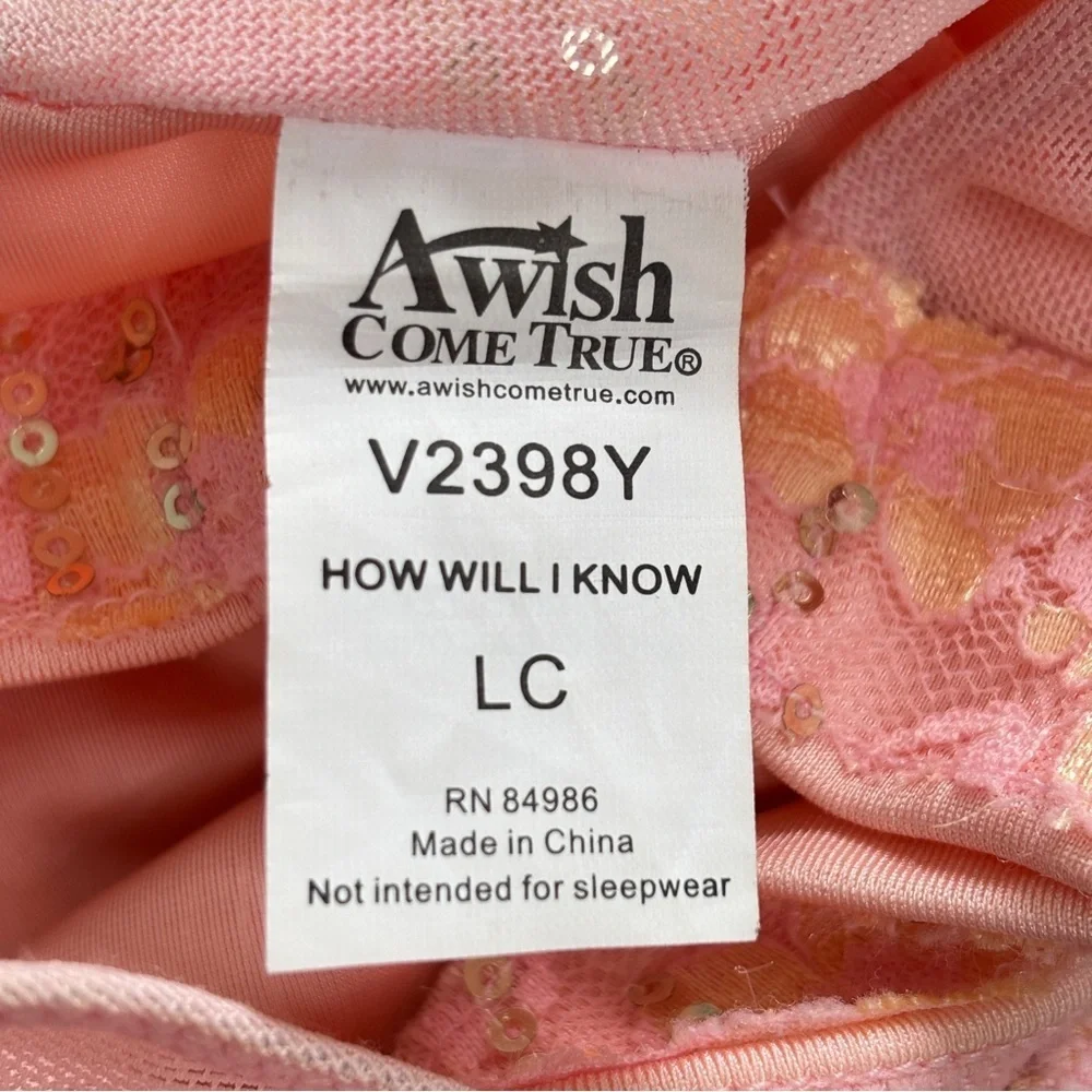 A Wish Come True Dance Ballet Costume Pink Size LC 